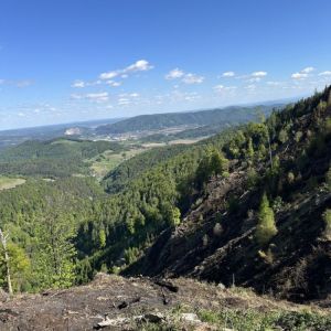 WaldbrandRein (14)
